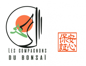 Logo de Les compagnons du Bonsaï et tampon